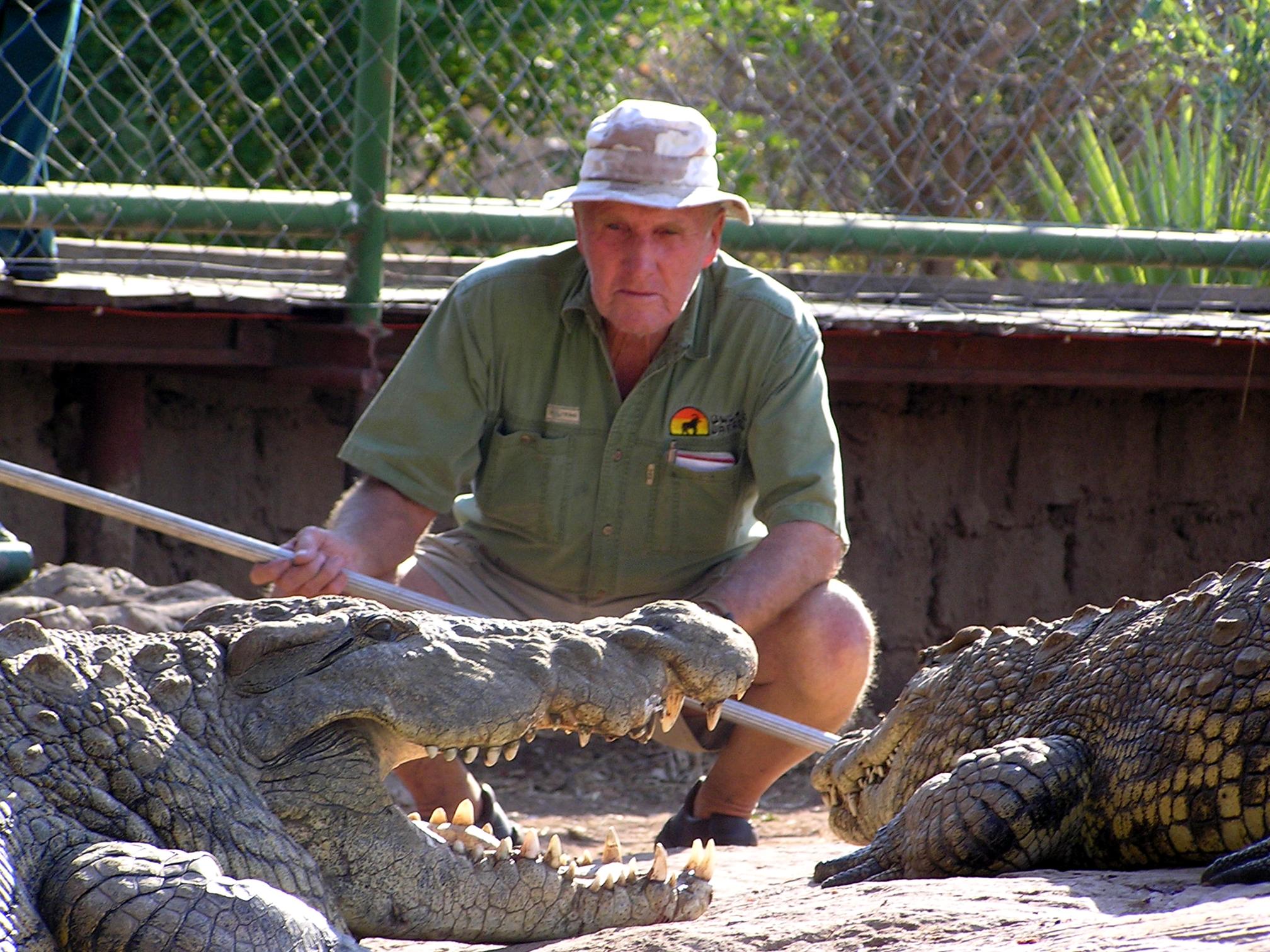 Livingstone: Be Here, Be Inspired - Sir Crocodile, The Lord of Zambezi ...