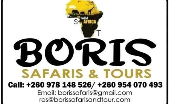 Boris safaris and Tours.